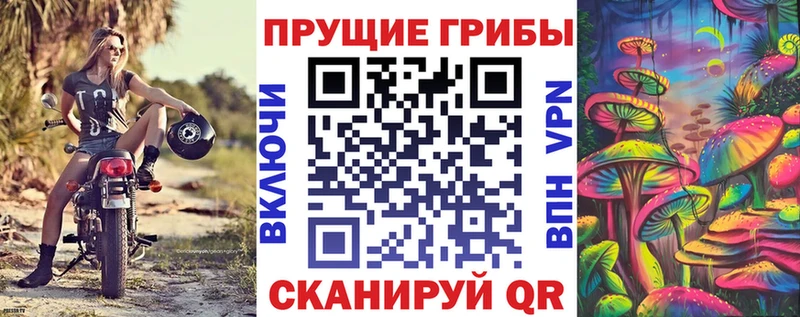 Галлюциногенные грибы прущие грибы  блэк спрут зеркало  Пролетарск 