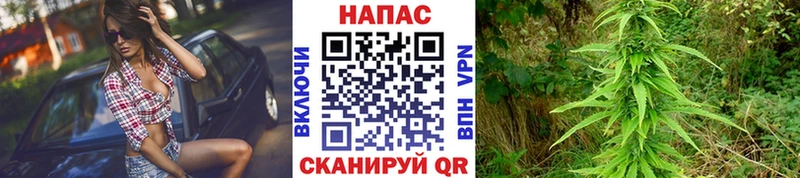 Бошки марихуана Bruce Banner  наркотики  Пролетарск 